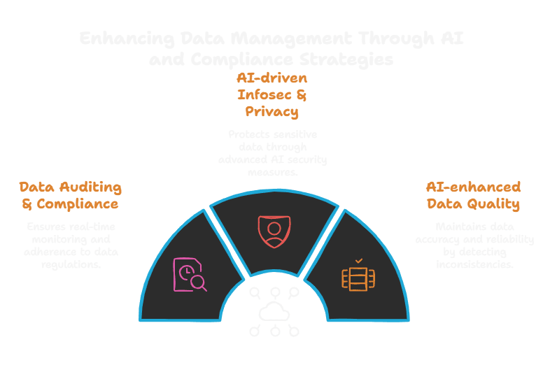 Data Auditing
